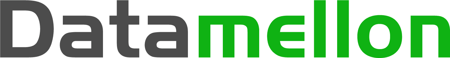 Datamellon Partnership